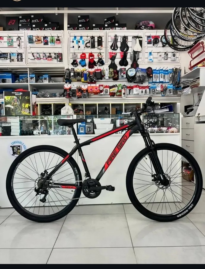 Fire Bird MTB R29